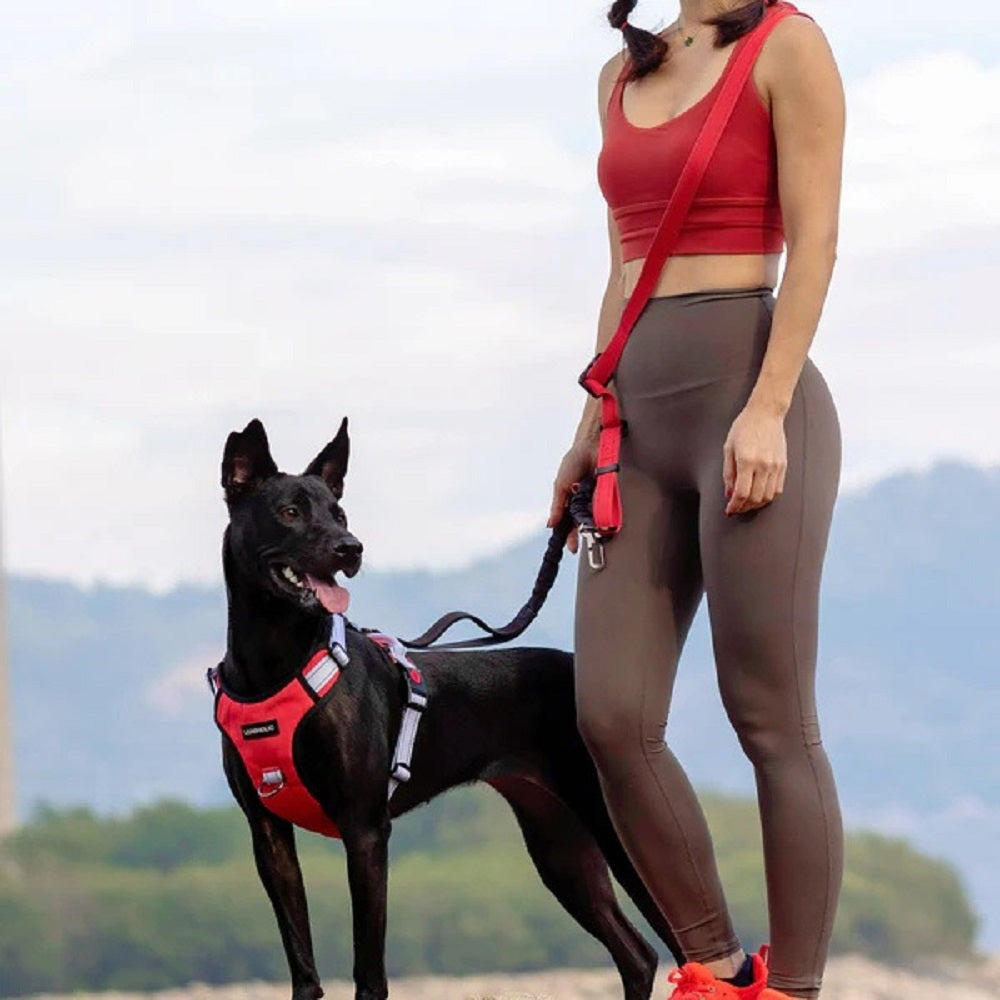 6 in 1 Multi-functional Hands-Free Dog Leash