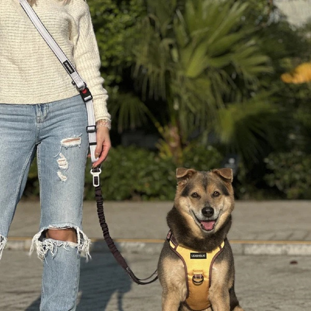 6 in 1 Multi-functional Hands-Free Dog Leash