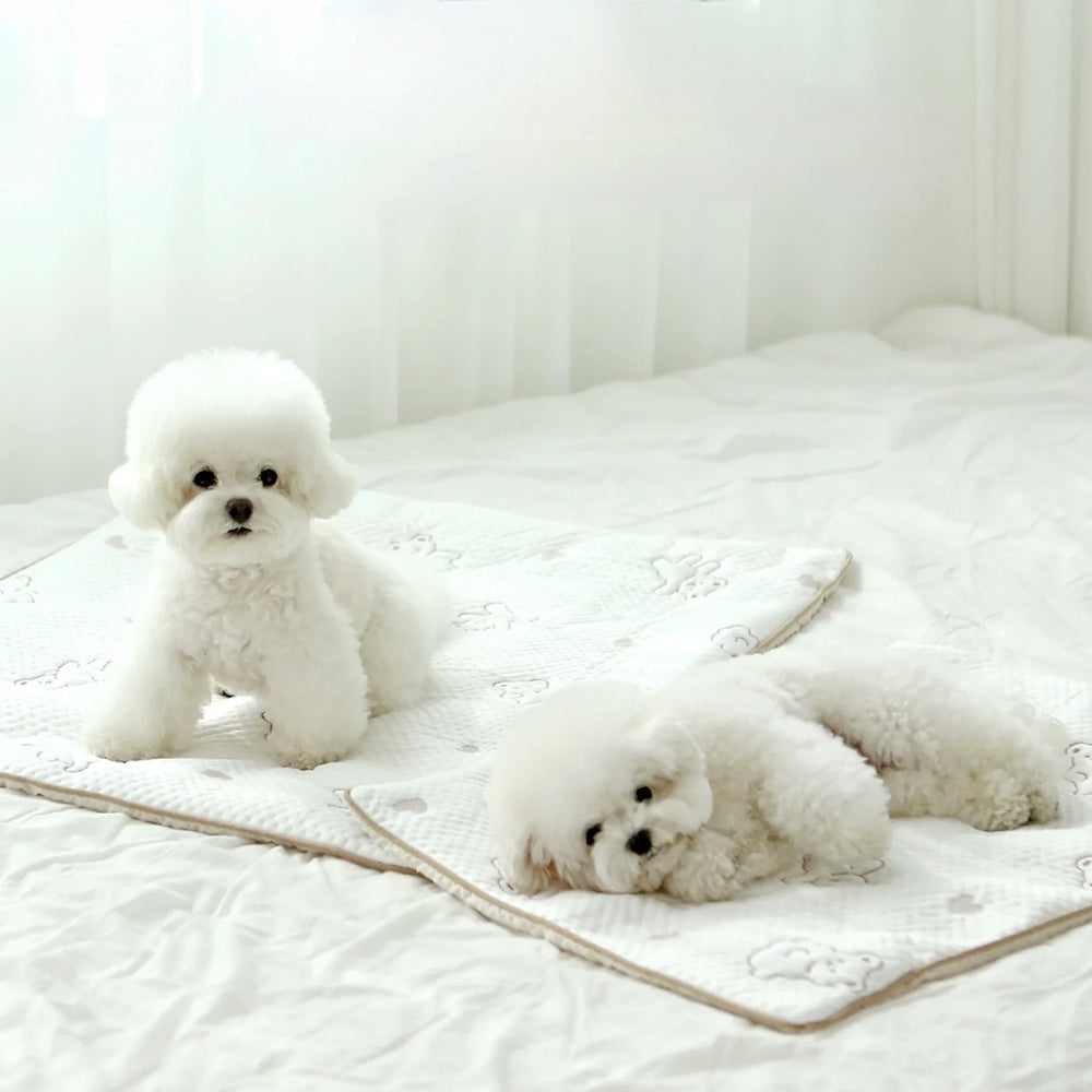 Bear Forpe Cooling Mat for Dogs & Cats
