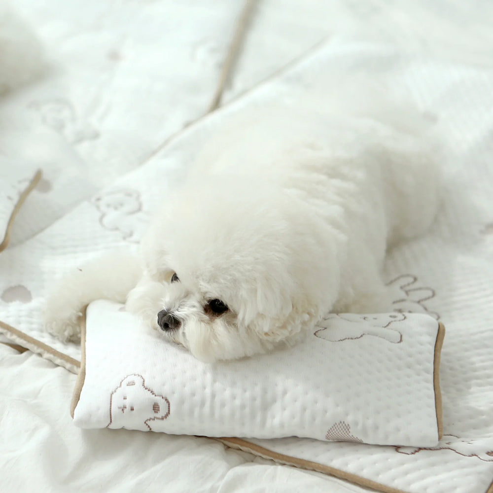 Bear Forpe Cooling Mat for Dogs & Cats