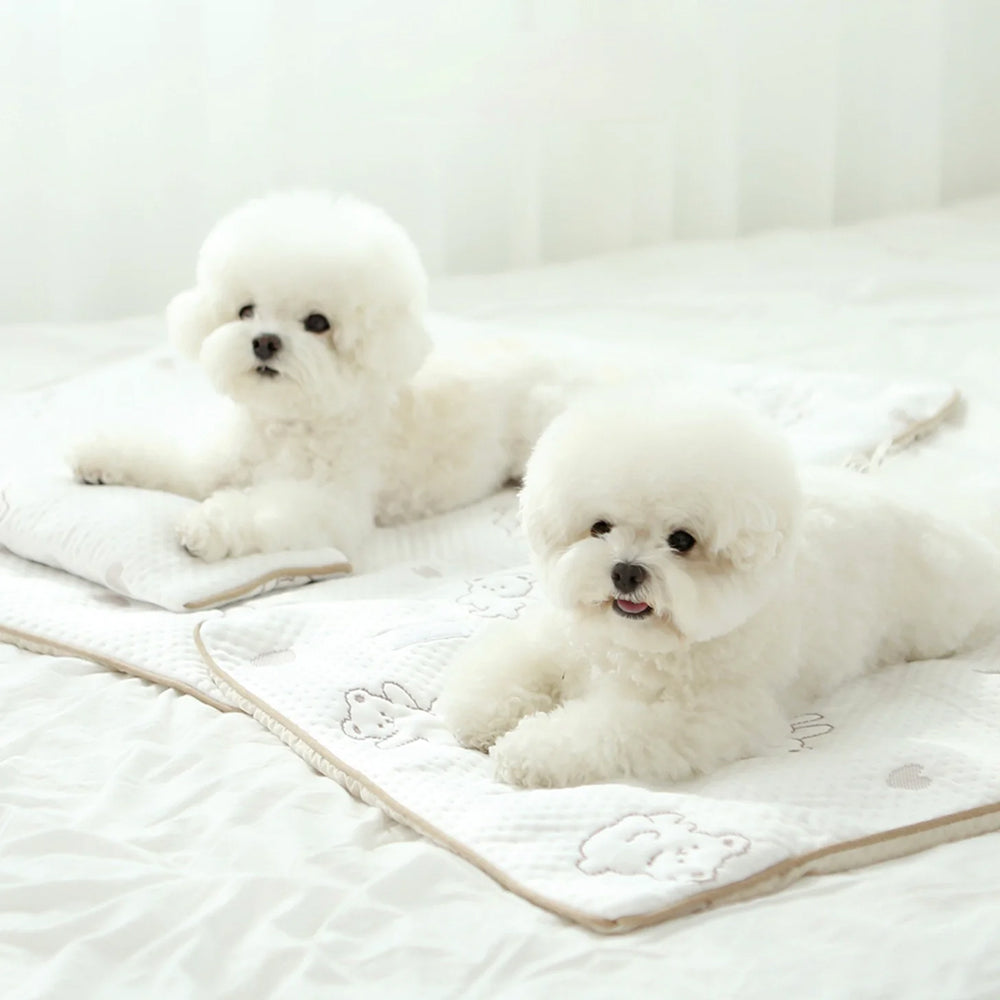 Bear Forpe Cooling Mat for Dogs & Cats