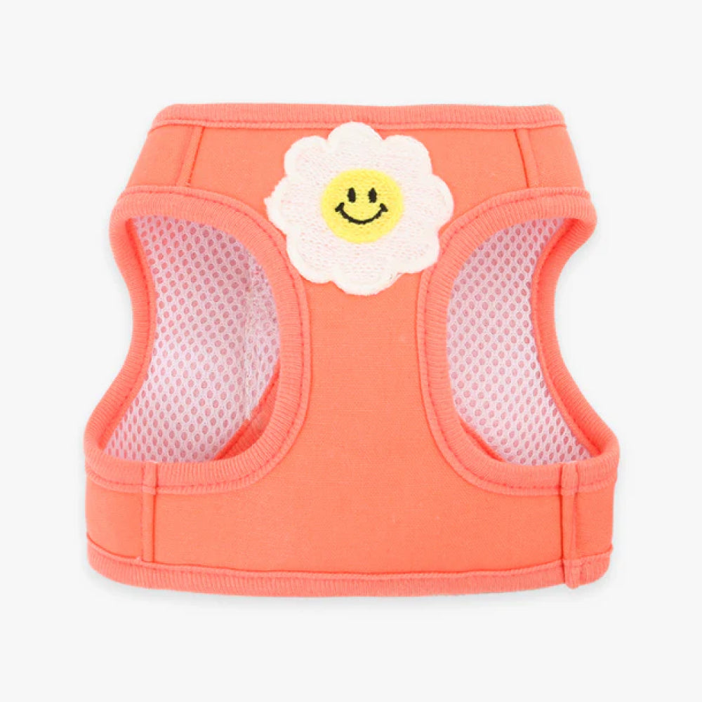 Daisy Frill Harness for Dogs & Cats
