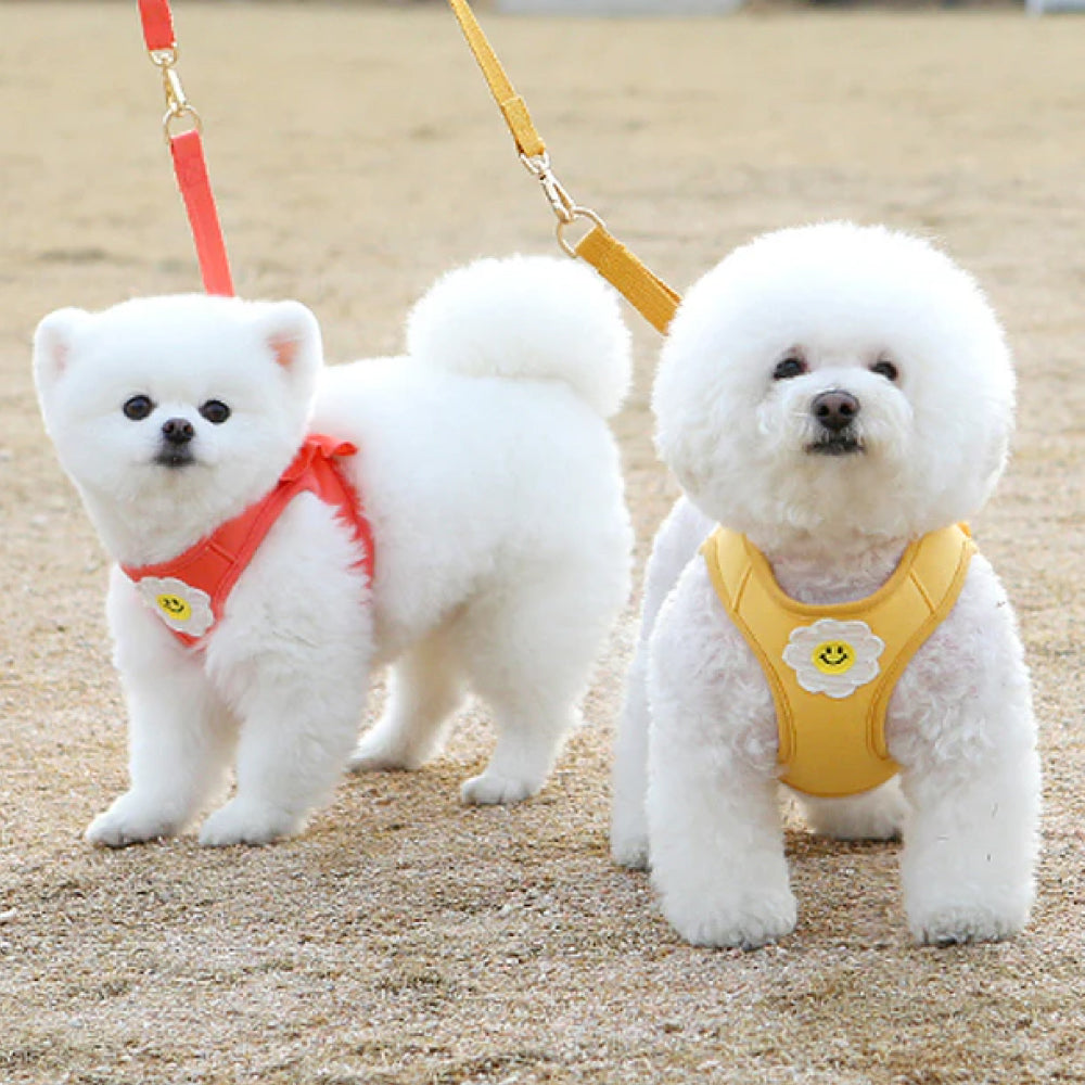 Daisy Frill Harness for Dogs & Cats