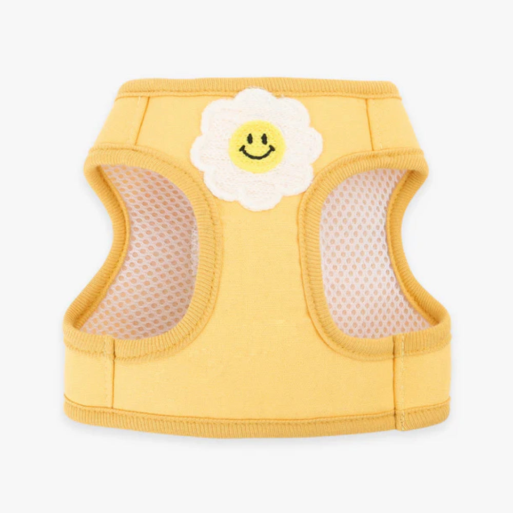 Daisy Frill Harness for Dogs & Cats