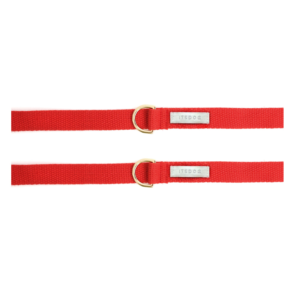 Ice Popping Leash for Dogs & Cats