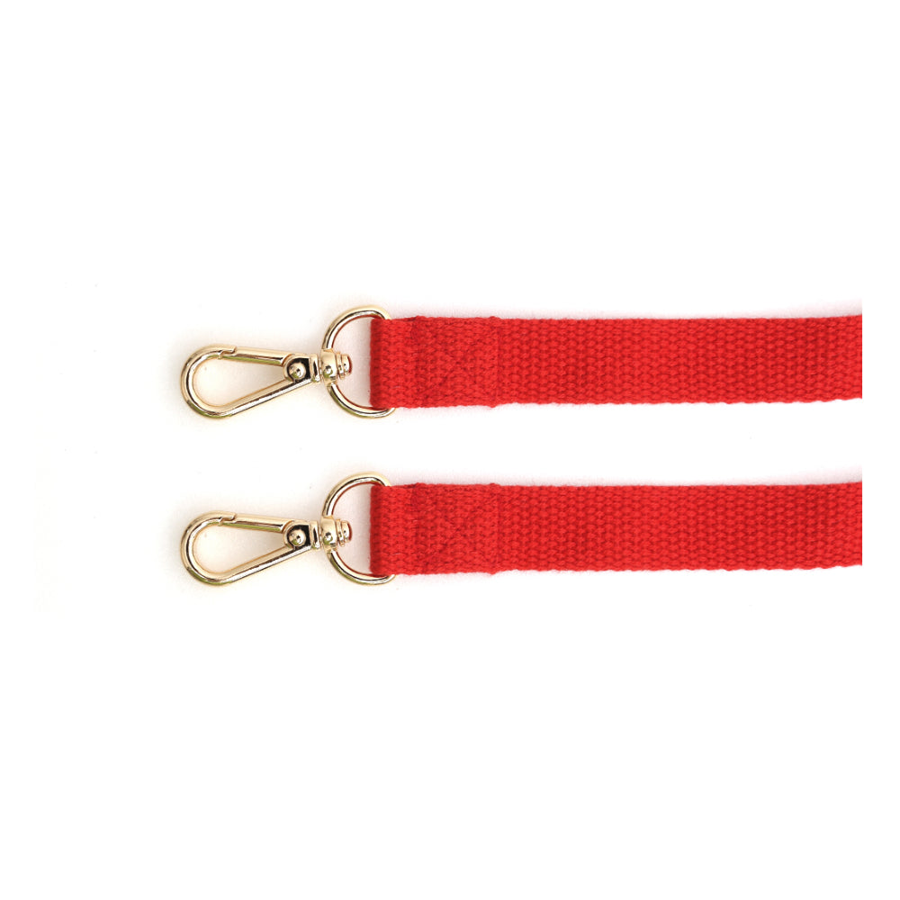 Ice Popping Leash for Dogs & Cats