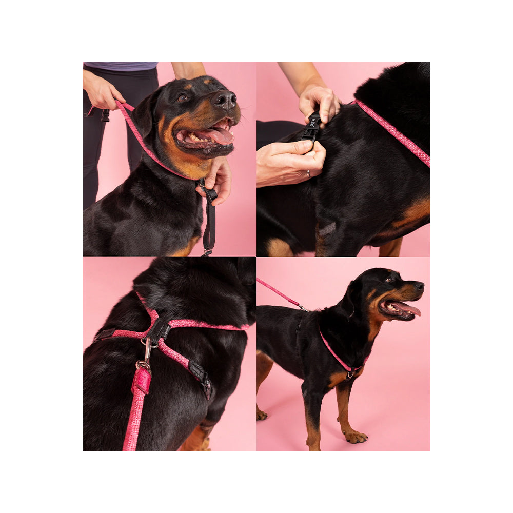 Leisure Rope Adjustable Dog Harness