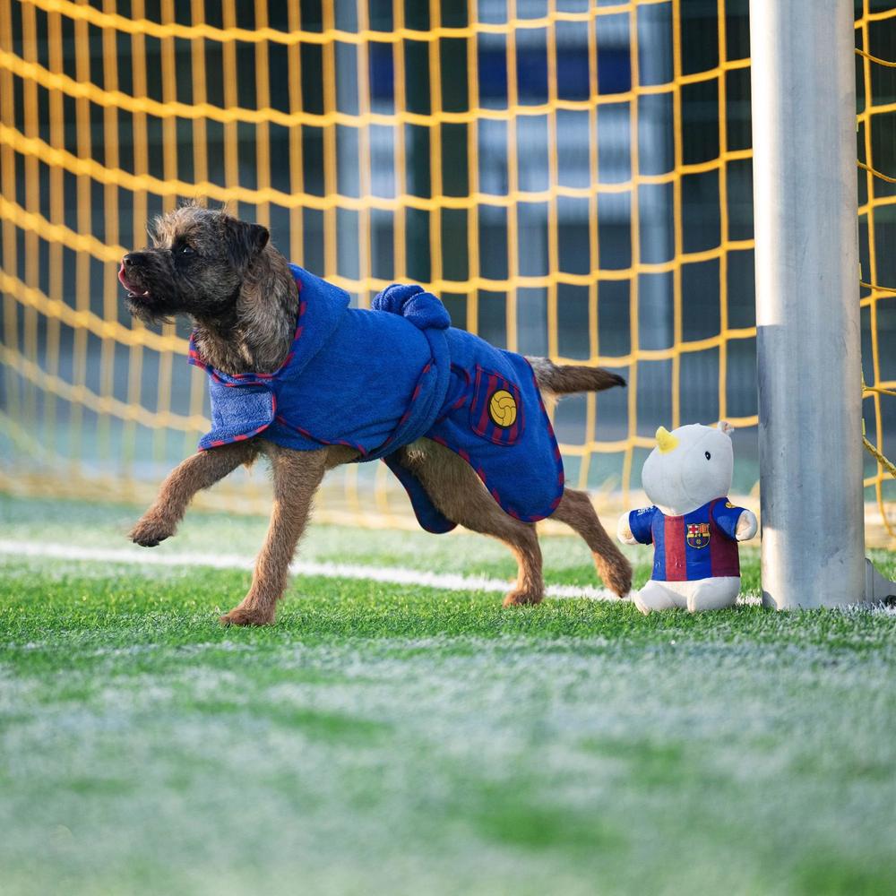 Barcelona Bathrobe for Dogs