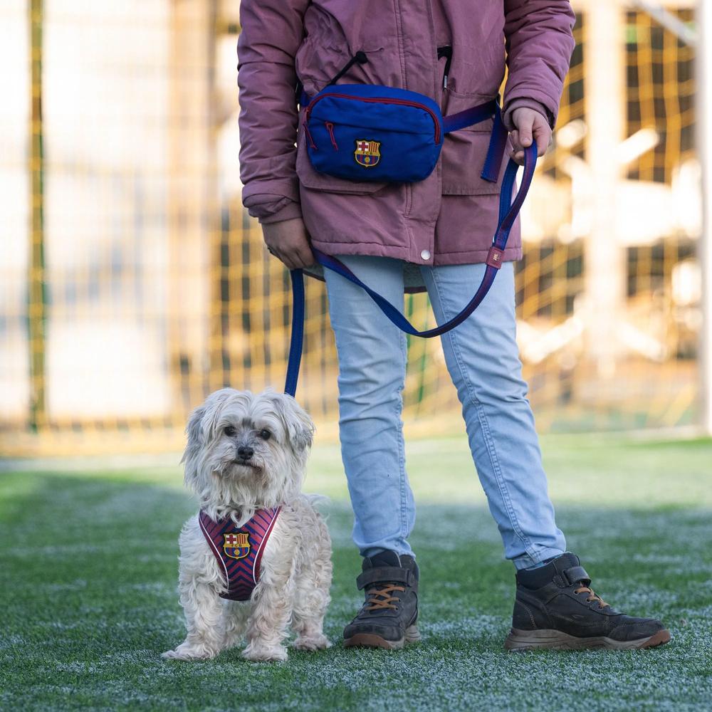 Barcelona Dog Training Bag