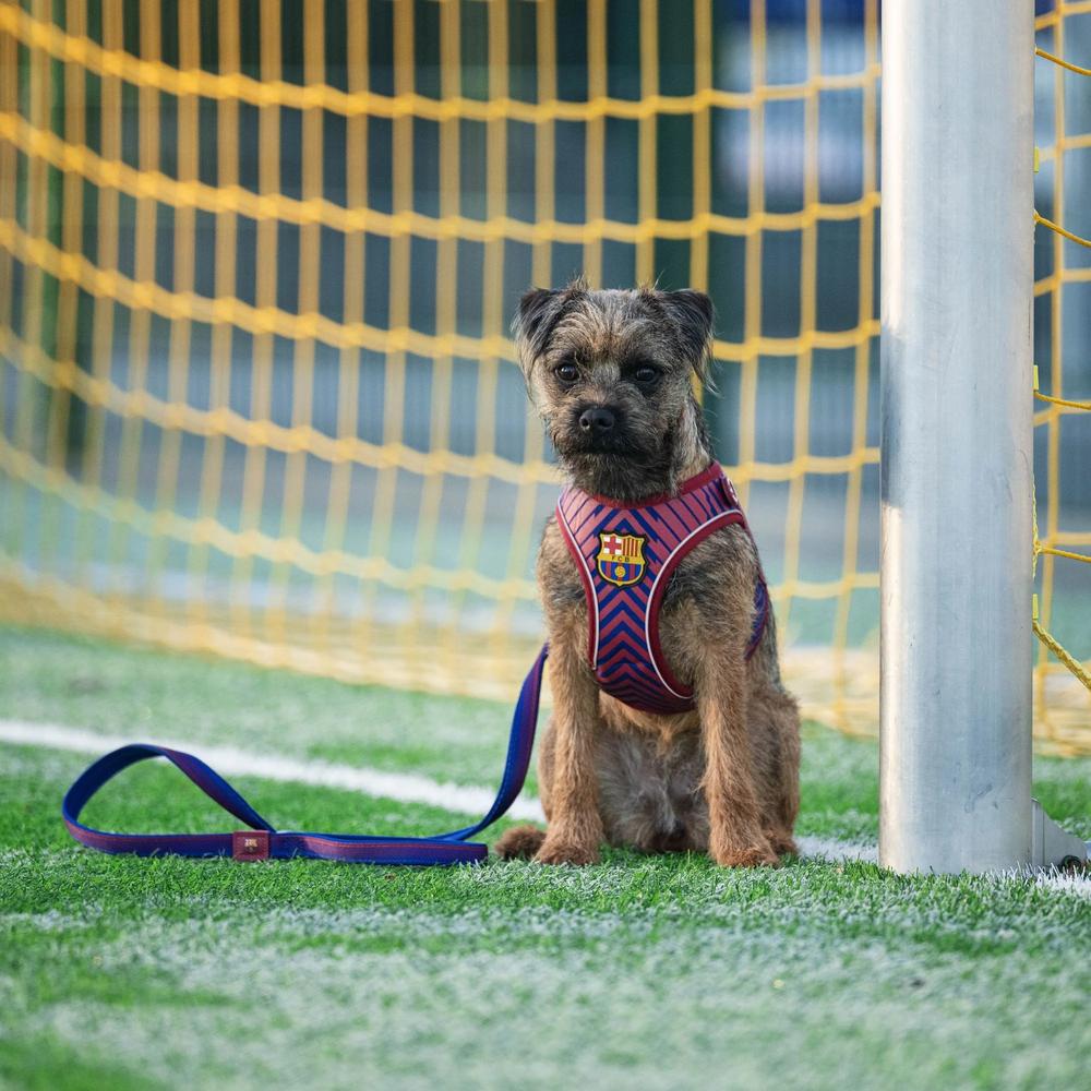Barcelona Short Dog Leash