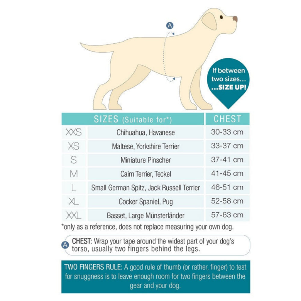 Barcelona Air Vest for Dogs