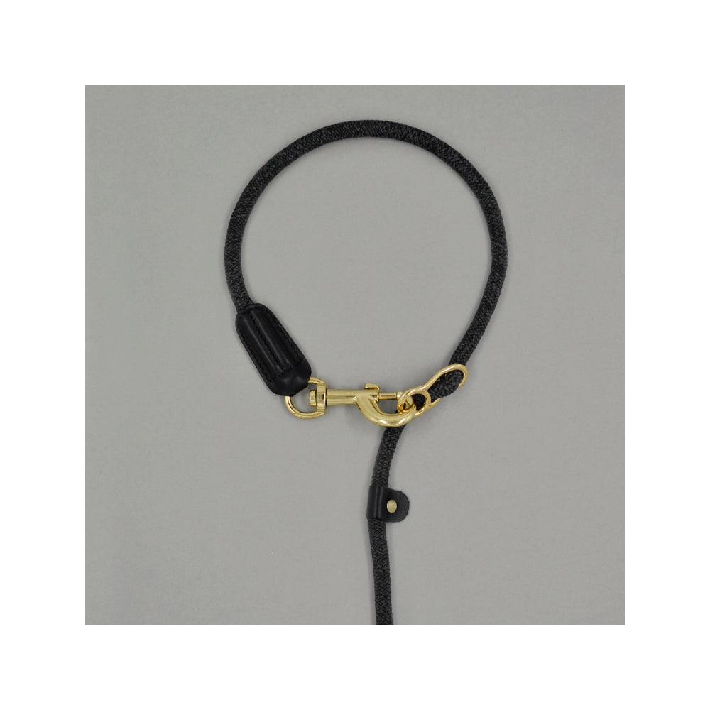 Metro Collar & Slip Leash