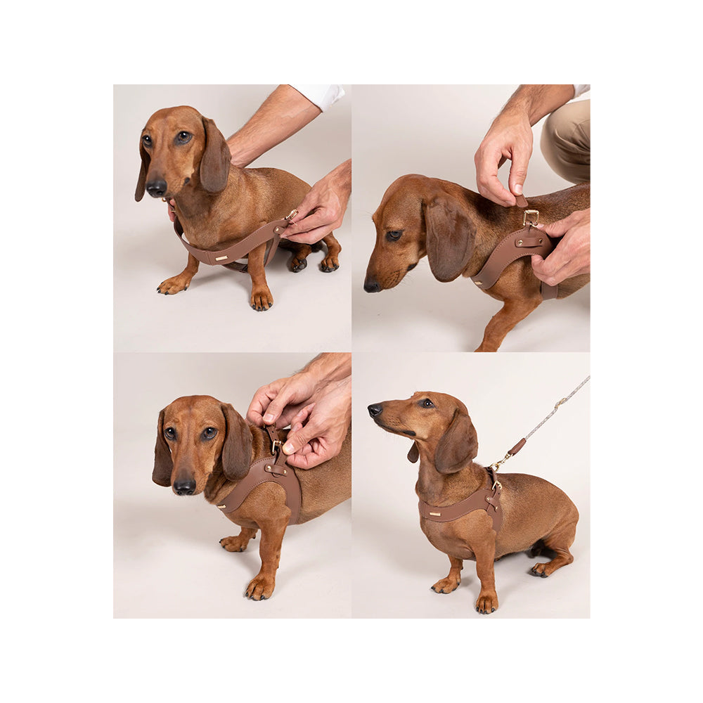 Metro Petite Dog Leather Harness