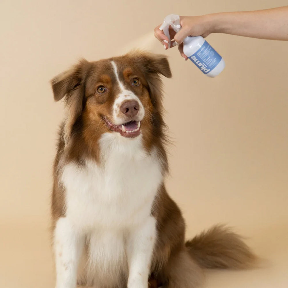 No-Rinse Waterless  Shampoo for Dogs & Cats