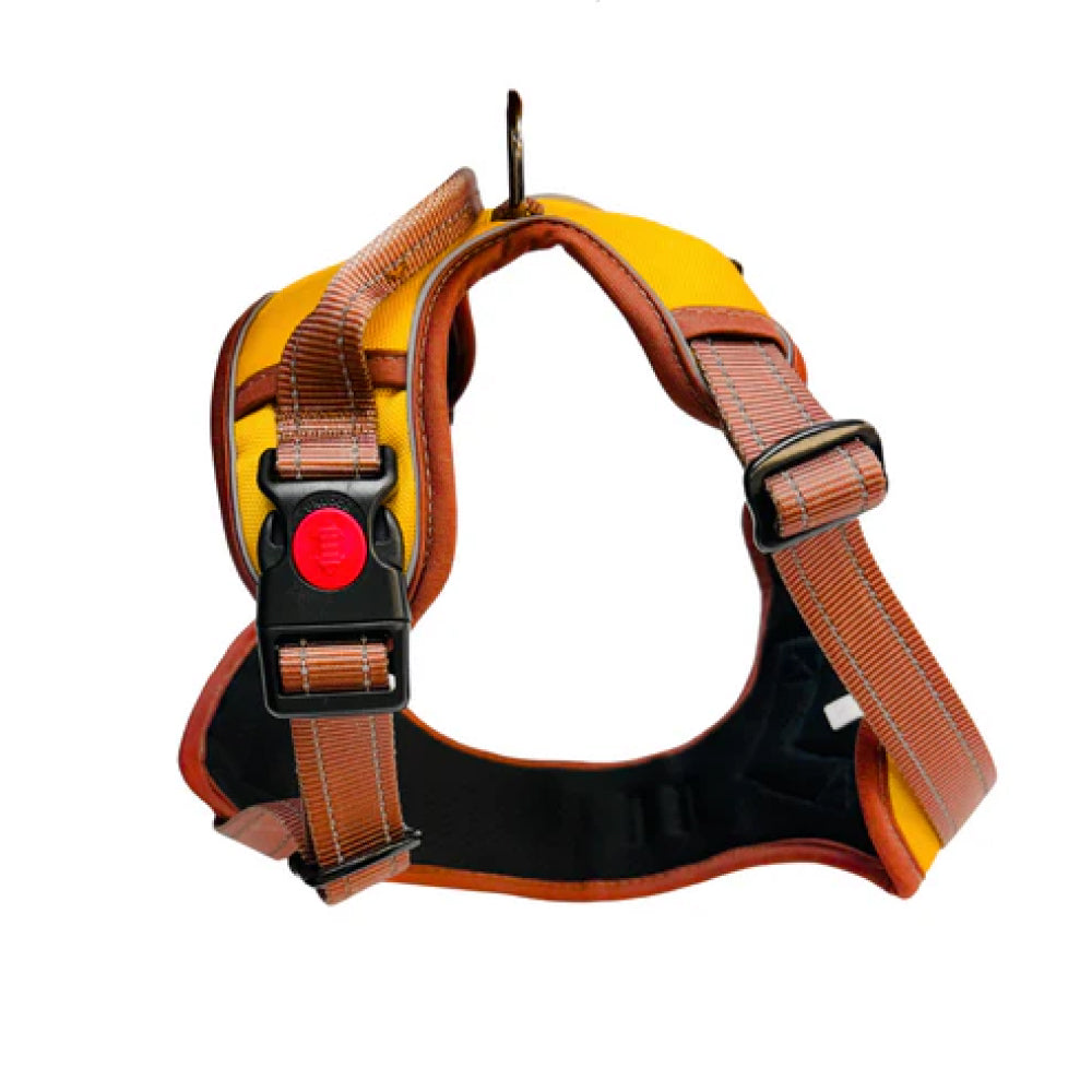 No Pull Dog Harness