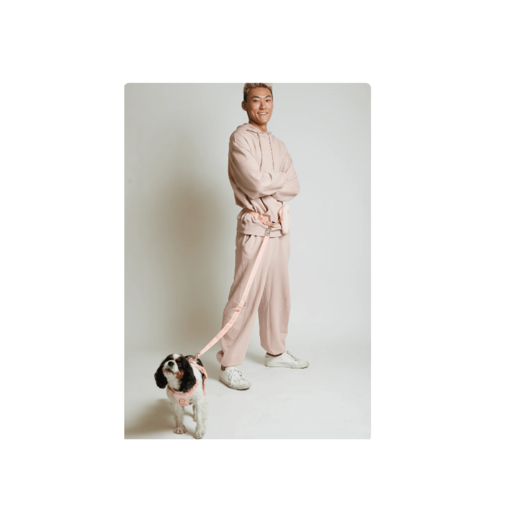 Ease Hands Free Dog Leash