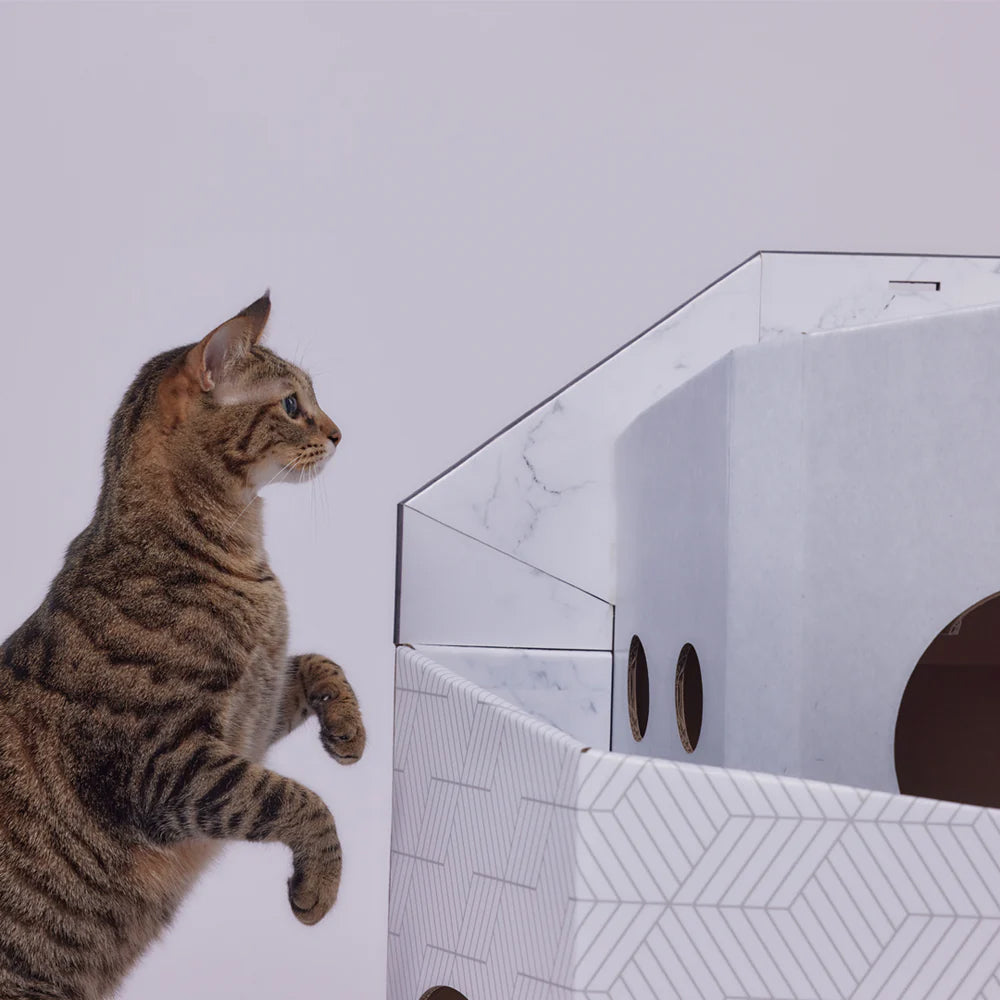 Mini Cat Mansion Foldable Cat House - D1 The Shadow Mansion
