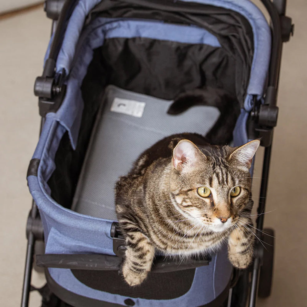 Miqoo Air Cooling Mat for Dogs & Cats