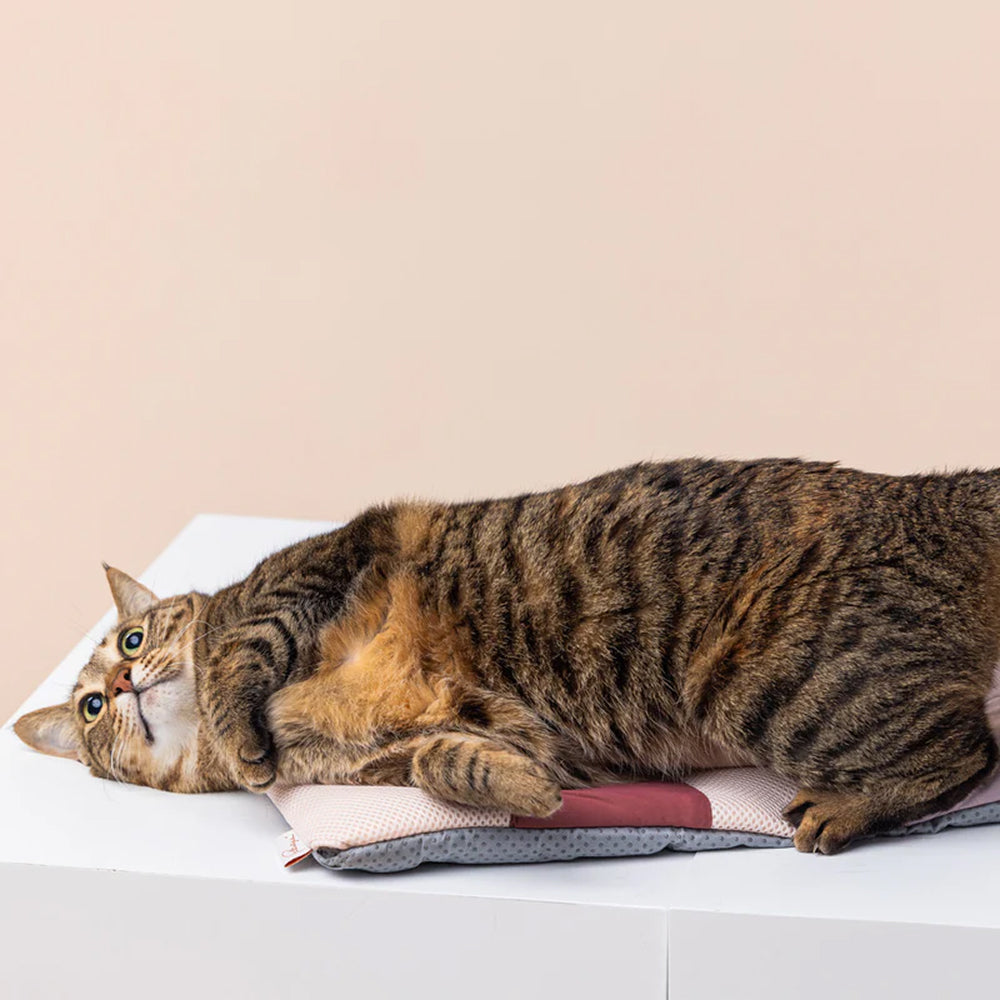 Miqoo Air Cooling Mat for Dogs & Cats