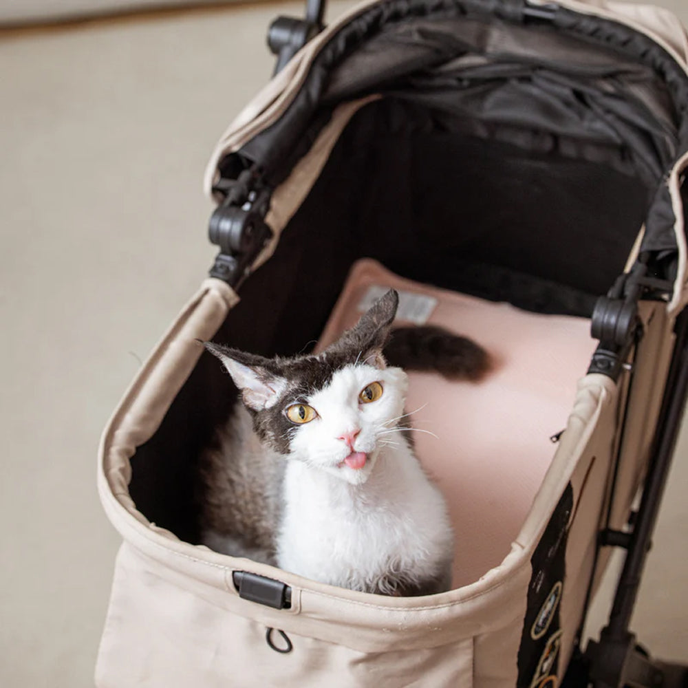 Miqoo Air Cooling Mat for Dogs & Cats