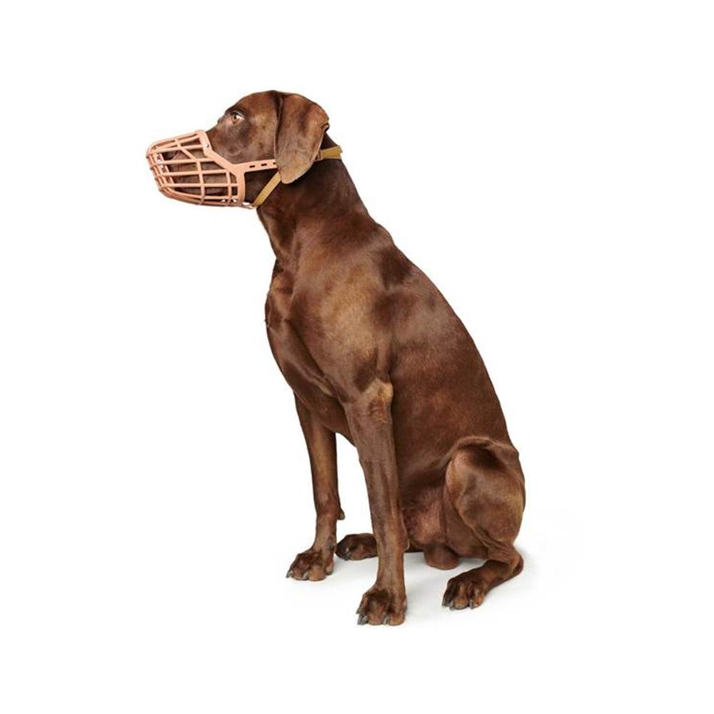 Plastic & Nylon Muzzle