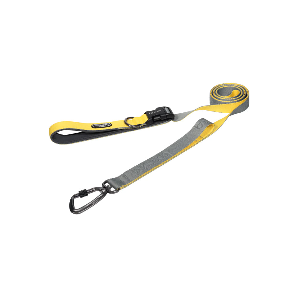 Play Leash 2.0 Dog Leash With Carabiner