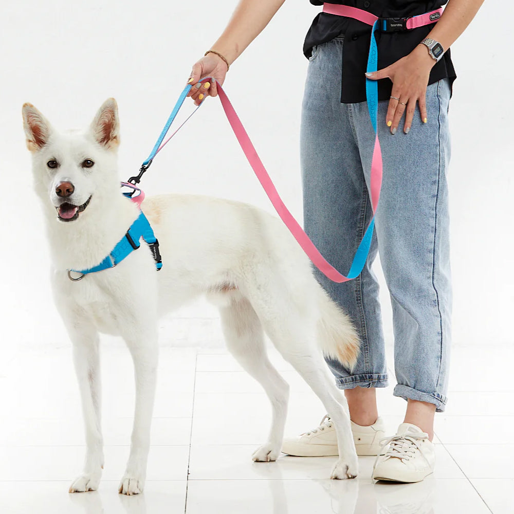 Play Leash 2.0 Dog Leash With Carabiner