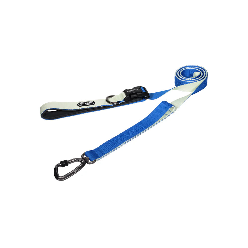 Play Leash 2.0 Dog Leash With Carabiner