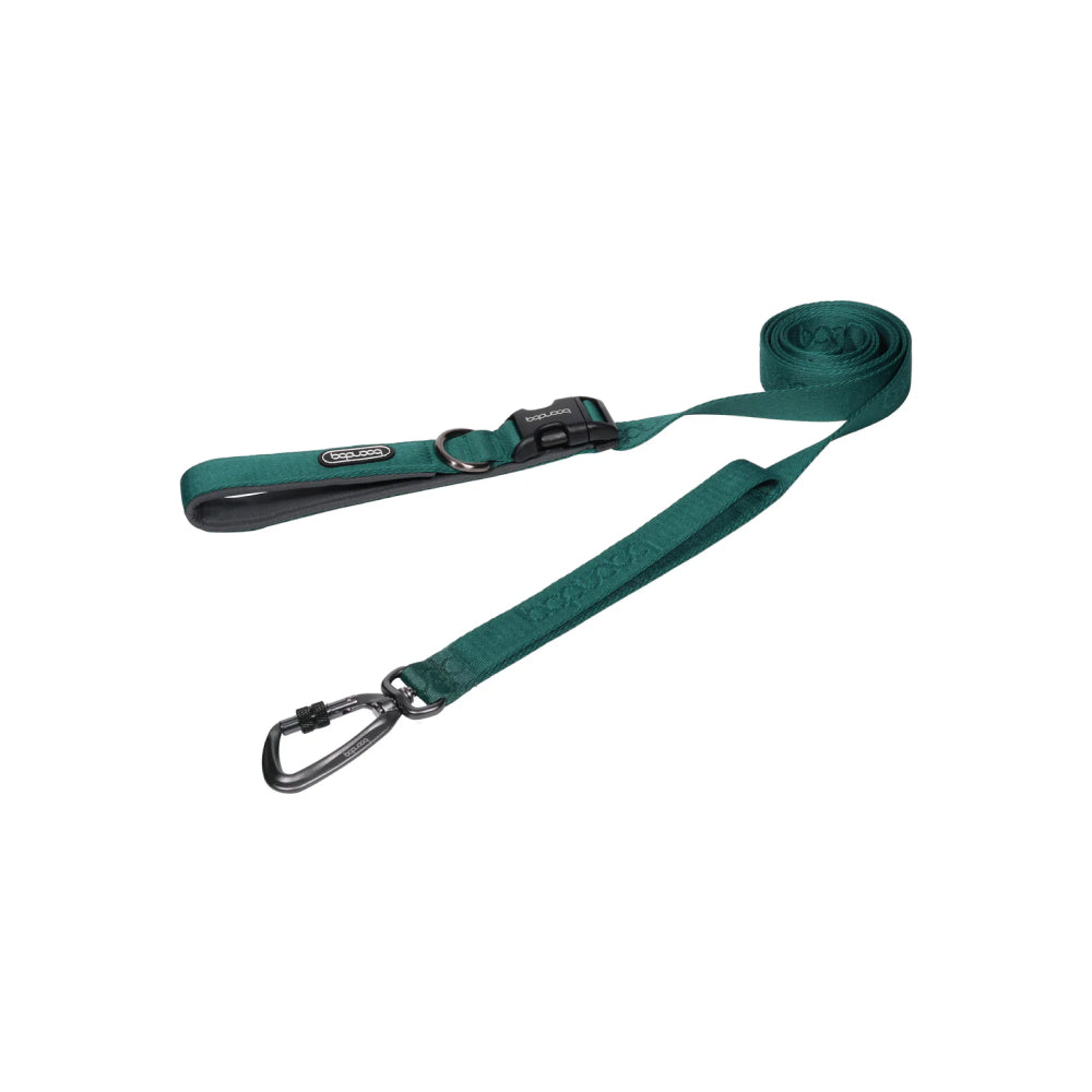 Play Leash 2.0 Dog Leash With Carabiner