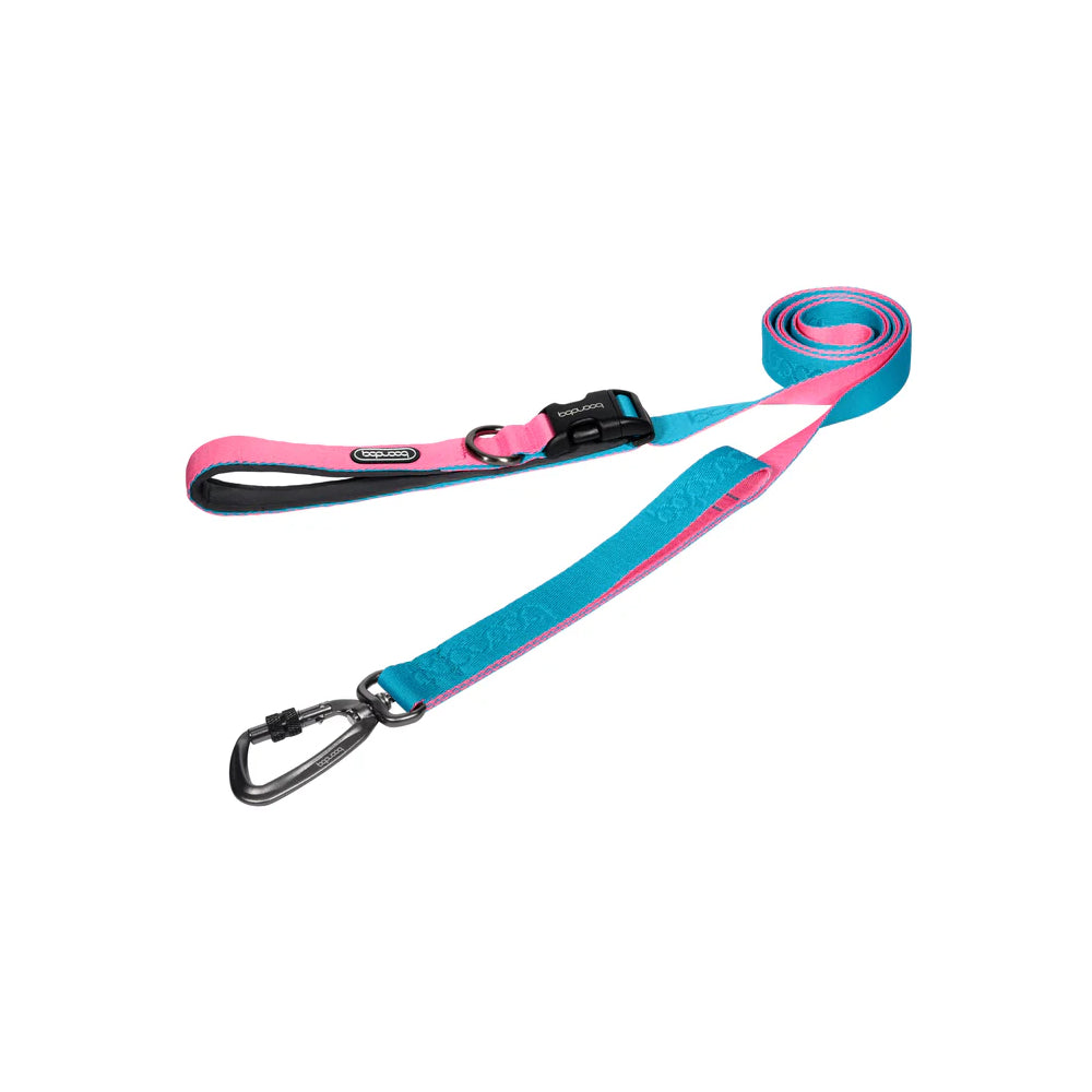 Play Leash 2.0 Dog Leash With Carabiner