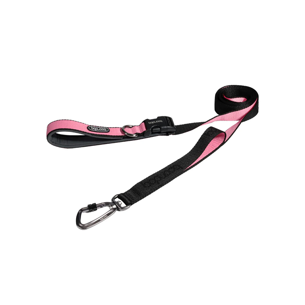Play Leash 2.0 Dog Leash With Carabiner