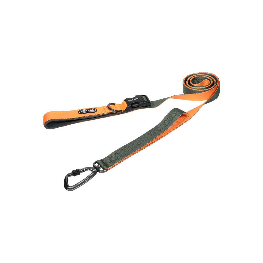 Play Leash 2.0 Dog Leash With Carabiner