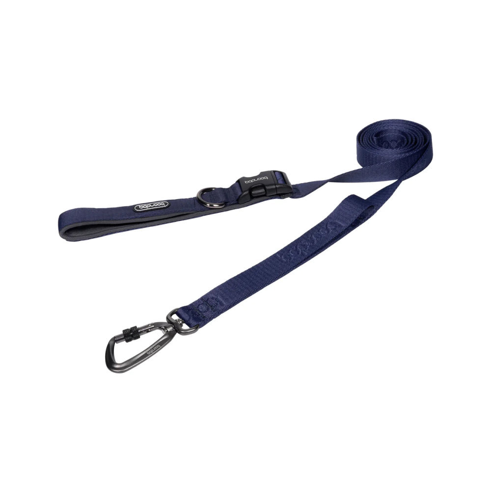 Play Leash 2.0 Dog Leash With Carabiner