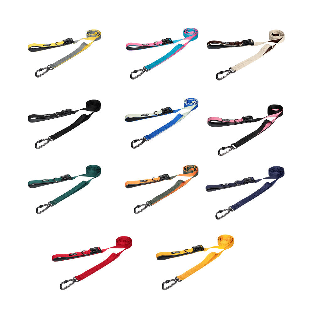 Play Leash 2.0 Dog Leash With Carabiner