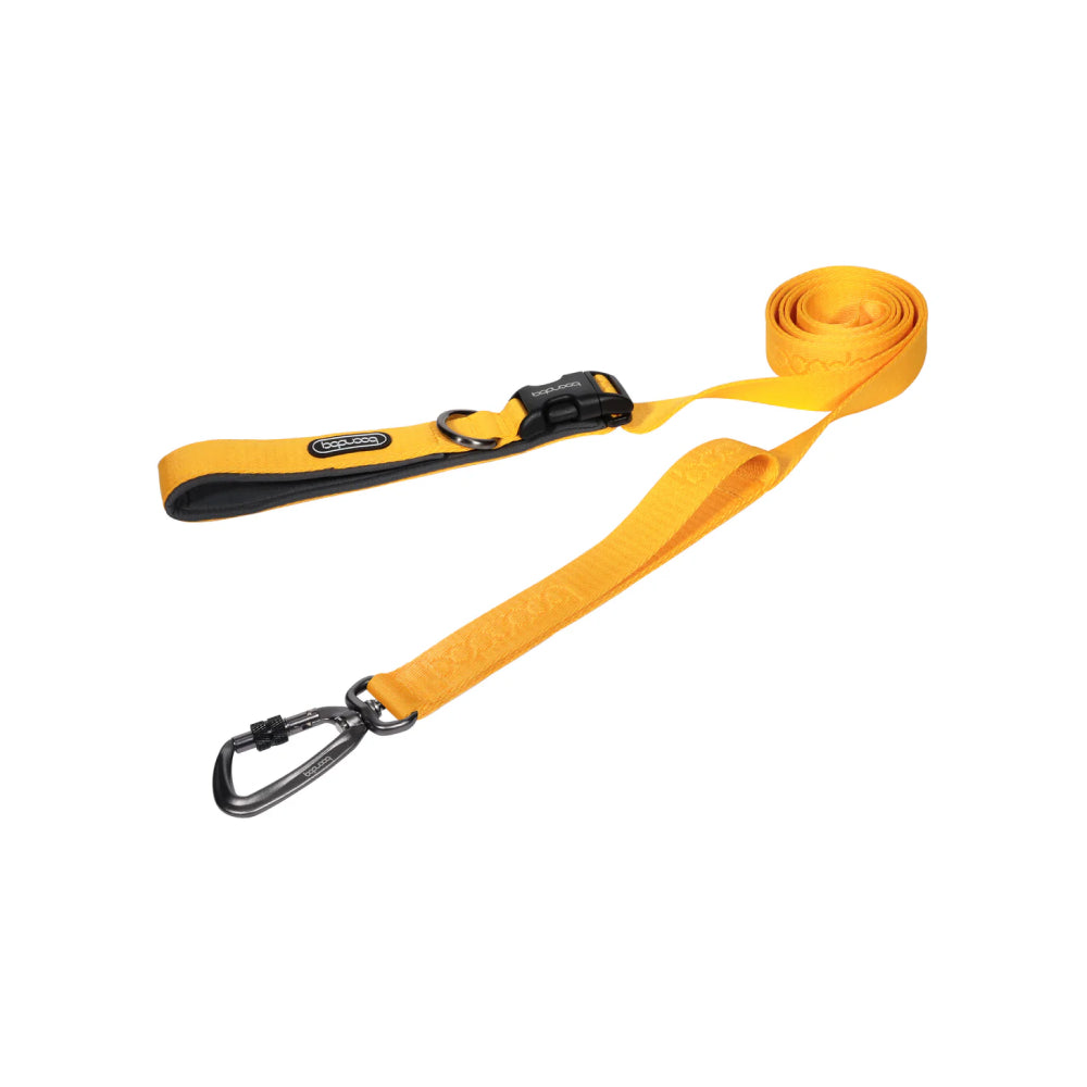 Play Leash 2.0 Dog Leash With Carabiner