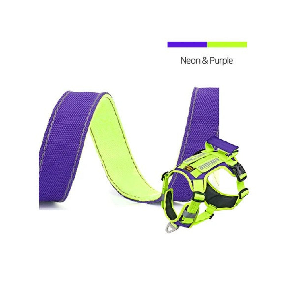 Interlaken Slim 2.0 Dog Leash