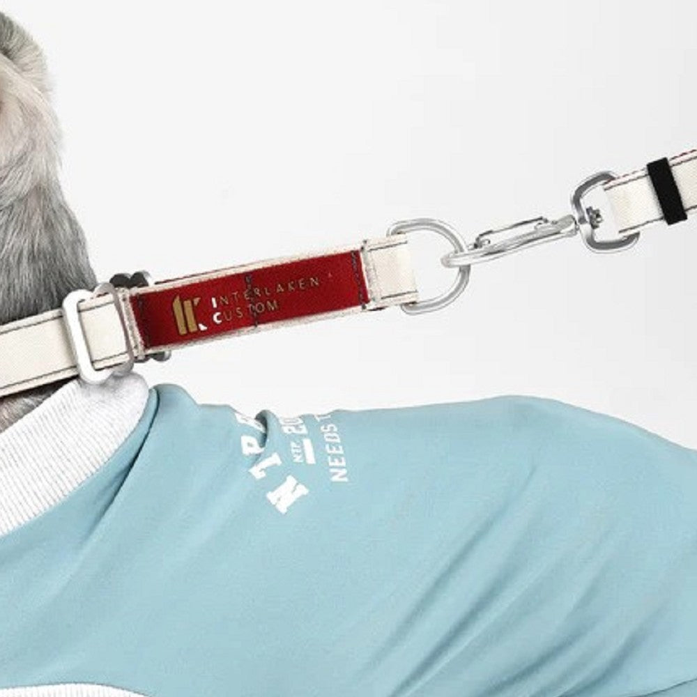 Interlaken Slim 2.0 Dog Leash