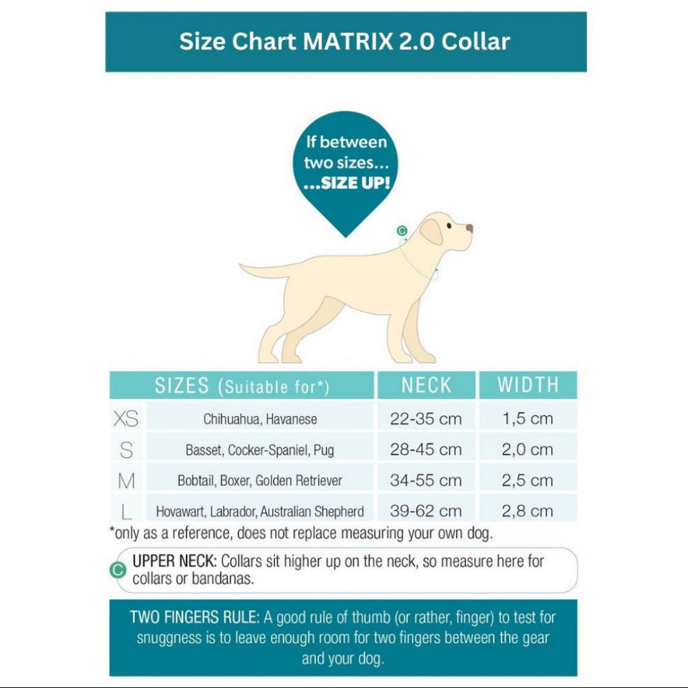 Barcelona Smart ID Dog Collar