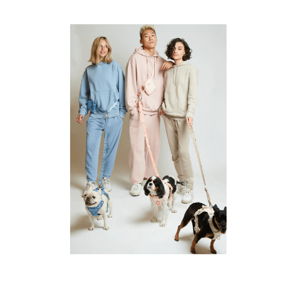 Ease Hands Free Dog Leash