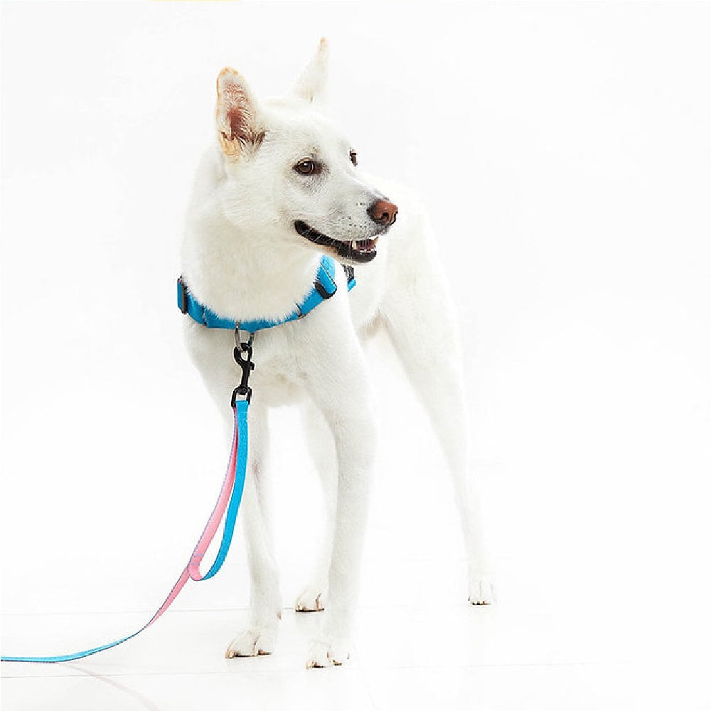 0109 Dog Harness
