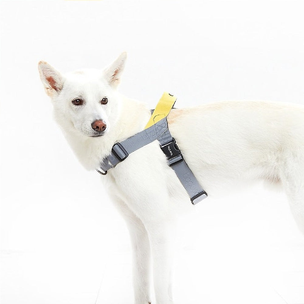 0109 Dog Harness