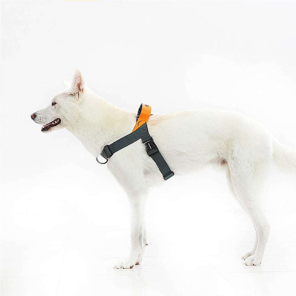 0109 Dog Harness