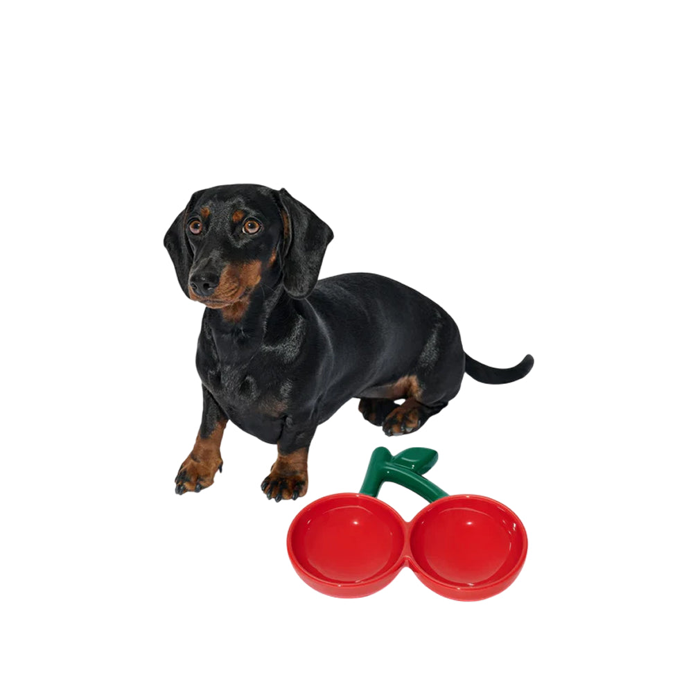 Cherry Ceramic Pet Bowl