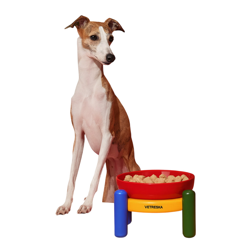 Chroma Ceramic Pet Bowl Set