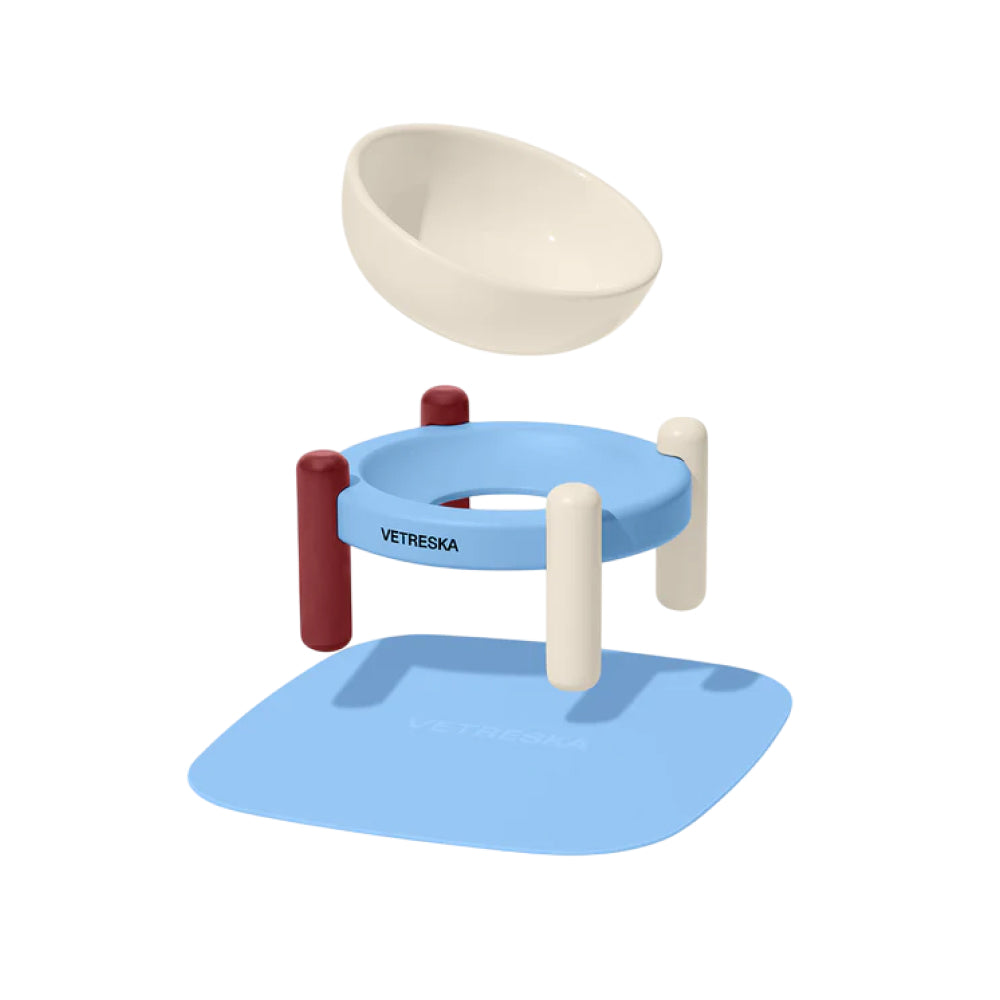 Mist and Merlot Ceramic Pet Bowl & Mat Set