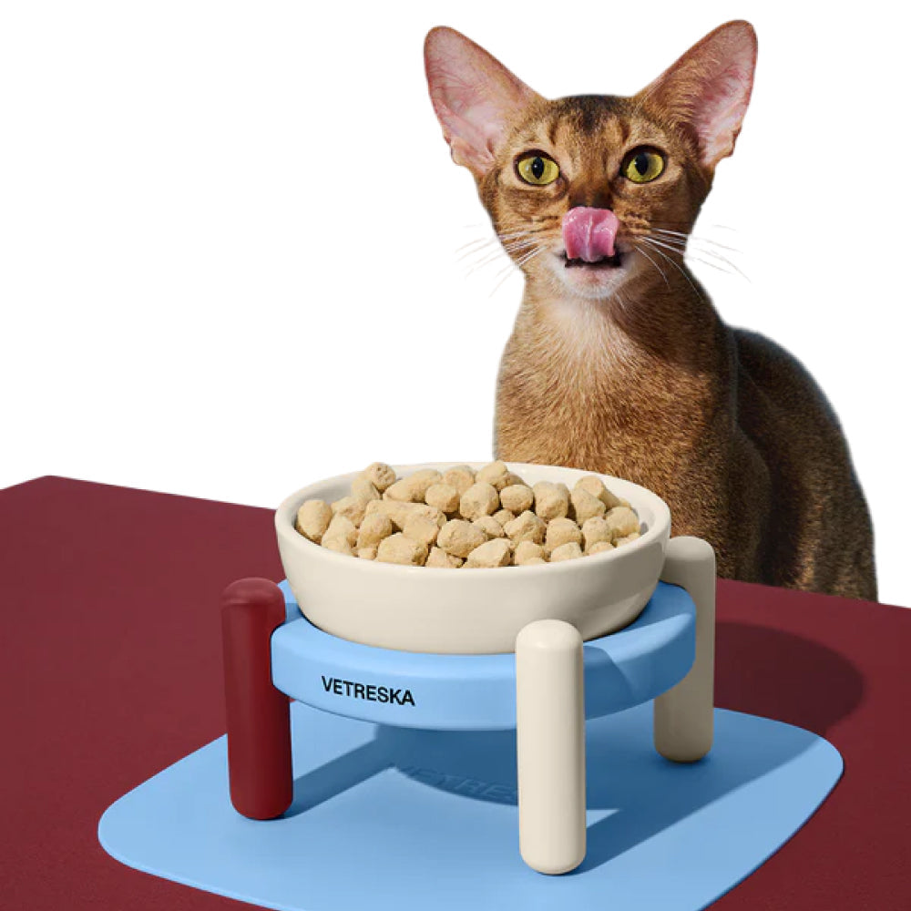 Mist and Merlot Ceramic Pet Bowl & Mat Set