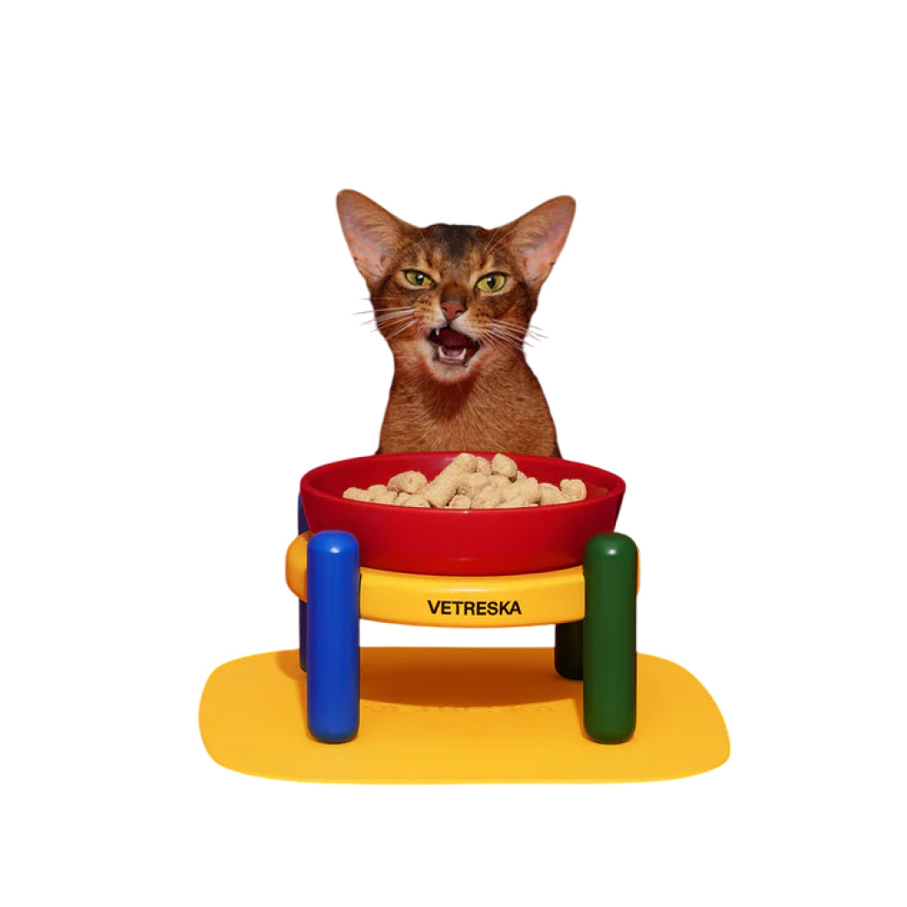 Chroma Ceramic Pet Bowl & Mat Set