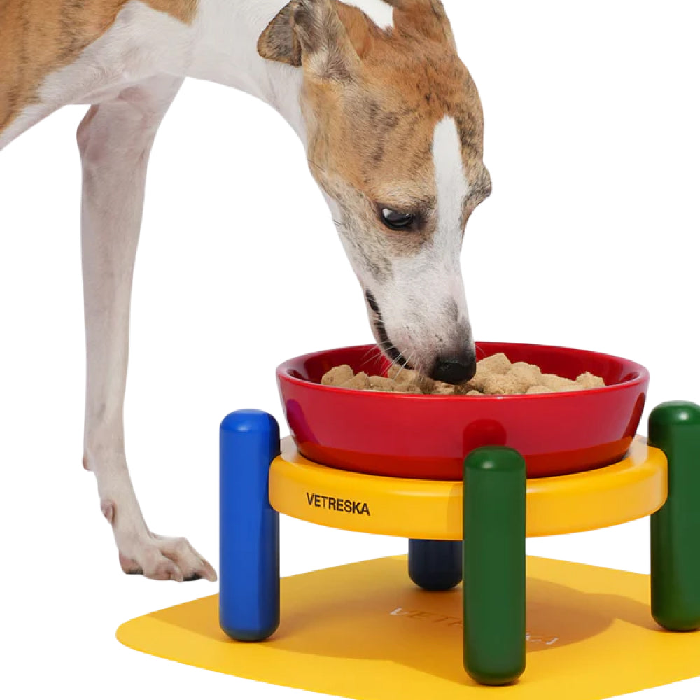 Chroma Ceramic Pet Bowl & Mat Set