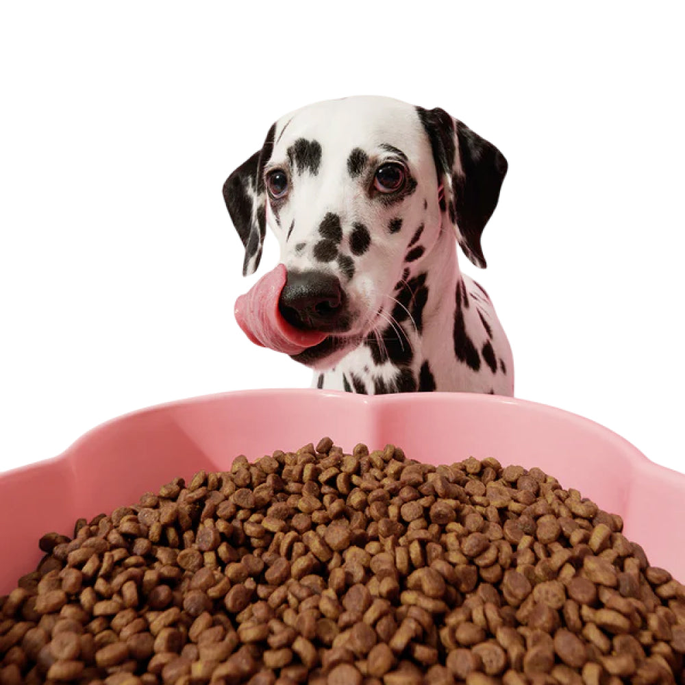 Flora Ceramic Pet Bowl