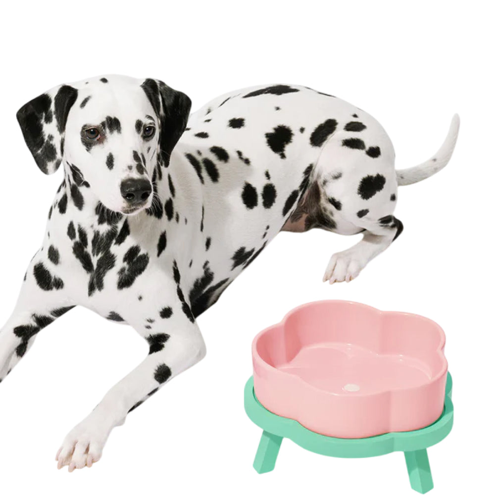 Flora Ceramic Pet Bowl